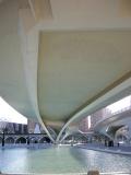 Space traveleds below the peunte of the city of the sciences and the arts in valency