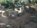 bioparc_5.jpg