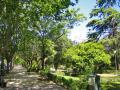 Walk for the Blasco Ibañez avenue of valency