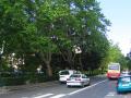 Walks for the city of valency