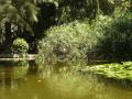 Basin of the Jardin Monforte in valency