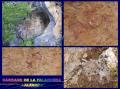 Shelter of cave paintings in the Falaguera gorge of Alfarp