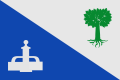 Representative flag of Fuenterrobles