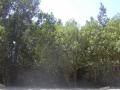Natural places in Lliria