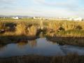 El Carraixet, Alboraya