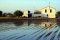 Reflexes of a "alqueria" in a field recien watered, Alboraya