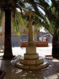Plaza of raising the head too much while galloping of the patriarch