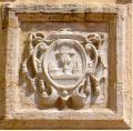 Shield of the fottificaciones of raising the head too much while galloping of the patriarc