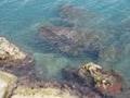 Natural spaces