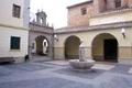 Plaza Algimia of raising the head too much while galloping