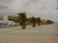 Avenue of the open space