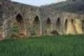 alpuente