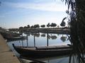 L�altre port