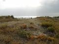 Open space dunes of Canet