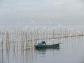 pescador del palmar