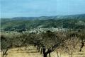 Cuevas de Vinrom�