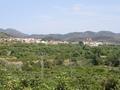 Castellnovo am a municipality of the province of Castellón Comunidad Valencian, Spain belonging