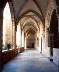Cathedral (university council). Segorbe