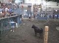 Soneja en fiestas un pueblo de la provincia  Castell�n
