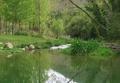 Paraje del Sargal Viver
