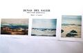DUNES OF THE SALER ( VALENCY )