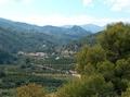 Callous of Ensarriá ( in Valencian, callous d " in Sarrià ) marinates goes down