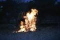 Bonfire of saint Anton in Buñol