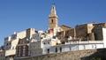 Albadia