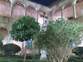 Garden of the university council of the Orihuela cathedral
