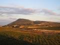 Saw of Hurchillo, Orihuela