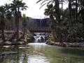 Park the palm grove, viper