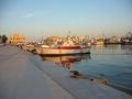 Port of pole female saint