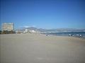 Open space of Muchavista, viper