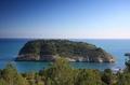 Island of the Portichol, Jávea, viper.