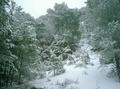 Wintry landscape of the Sagra