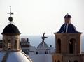 Dome and Fenix bird of the Concatedral of saint Nicholas