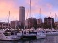 Marina Deportiva de Alicante