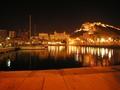 View of the port of viper at night