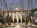 Building of the town hall of Denia and your architectural environment