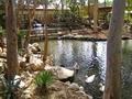 Attractions of the garden: Safari Park
