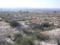 Remains of the Iberian town in the oral, saint Fulgencio