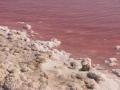 Environs to the salt mine and the Torrevieja lacuna