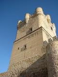 Roast lightly homage of the Viellena castle