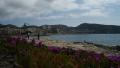 Open space of Moraira between flowers