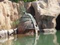 Diversity of attractions in mythical terr, Benirdom