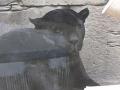 Panther of nature terr, Benidorm