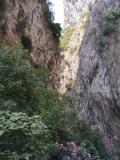 Observations of the gorge of the hell