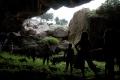 Landscape of the Tarbena cave