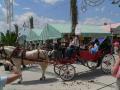 Torrevieja and your attractions