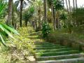 Stairs of the municipal park of the apostate